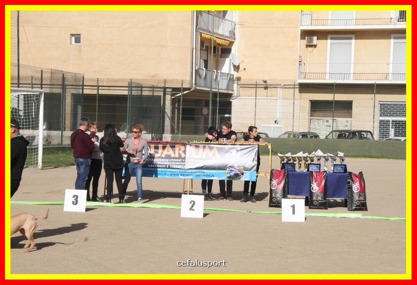 180311 mostra_canina 092.jpg